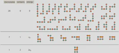 Microstates for the HP model of a six-bead polymer having the sequence HPPHPH. The hydrophobic (H) residues are orange, while the polar (P) residues are green. The white dot indicates the first residue of the polymer, equivalent to the N-terminus of proteins. This polymer has 1 groundstate (lowest energy) conformation in which two HH contacts are present, 7 conformations in which 1 HH contact is present, and 28 conformations with no HH contacts. Each HH contact contributes with $\epsilon_{0} K. Dill, R. L. Jernigan, I. Bahar, Protein Actions (Garland Science, 2017) https:/doi.org/10.1201/9781315212210.