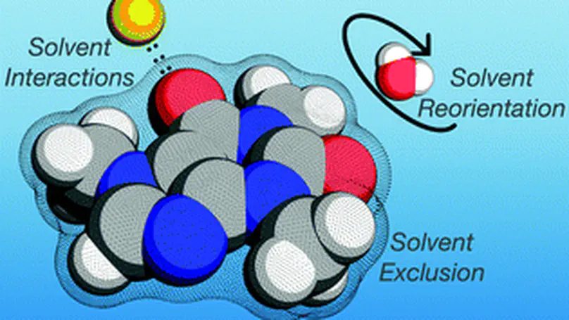 Anion–cation contrast of small molecule solvation in salt solutions