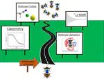 Total Description of Intrinsic Amphiphile Aggregation: Calorimetry Study and Molecular Probing