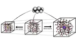 Free-energy decomposition of salt effects on the solubilities of small molecules and the role of excluded-volume effects