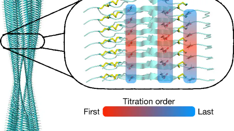 Characterization of the pH-Dependent Stabilizing Forces of Insulin’s Native and Fibril States